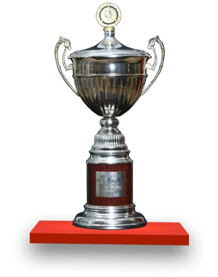 CEV Volleyball Cup